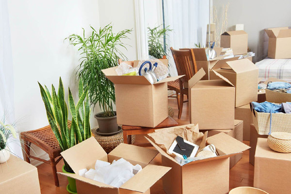 Stairis Parivahan & Relocation